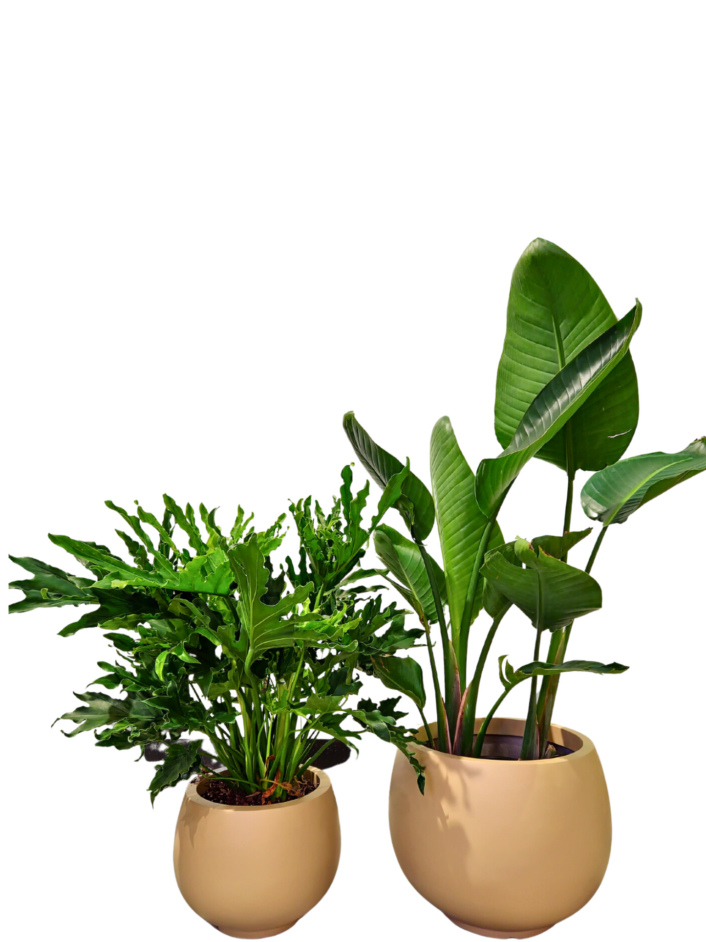 Sophie Fiberglass Planter