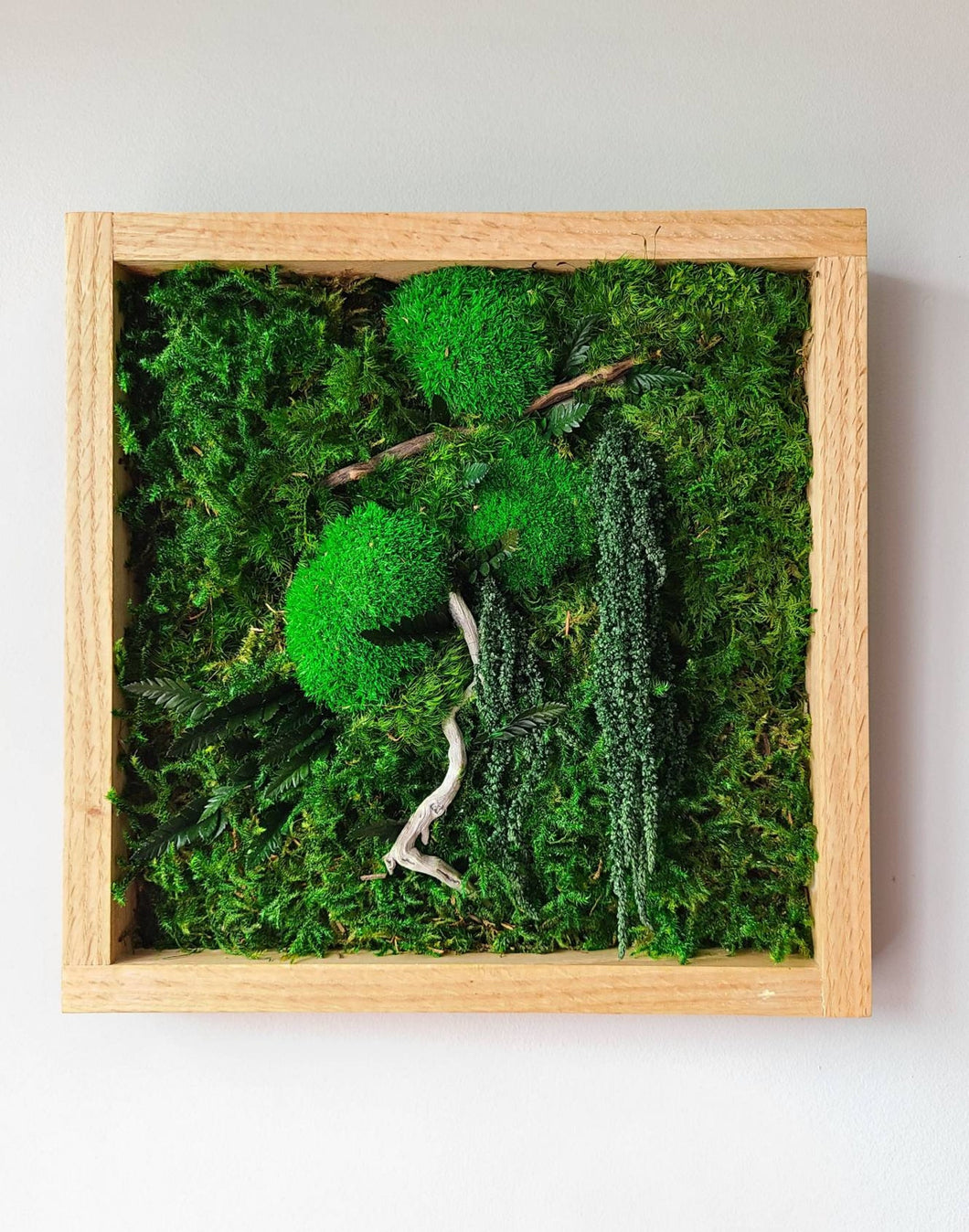 Green gem moss
