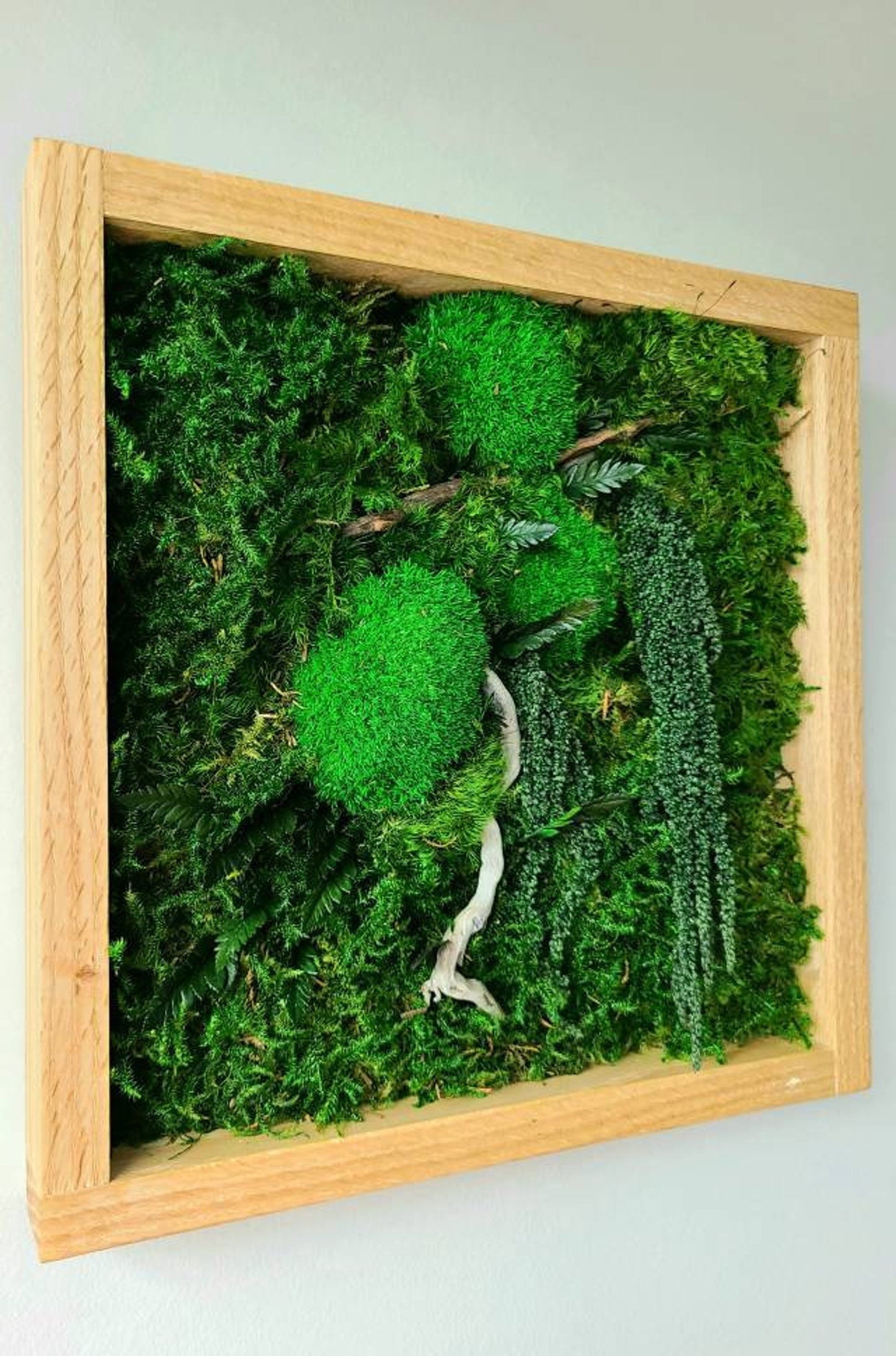 Green gem moss