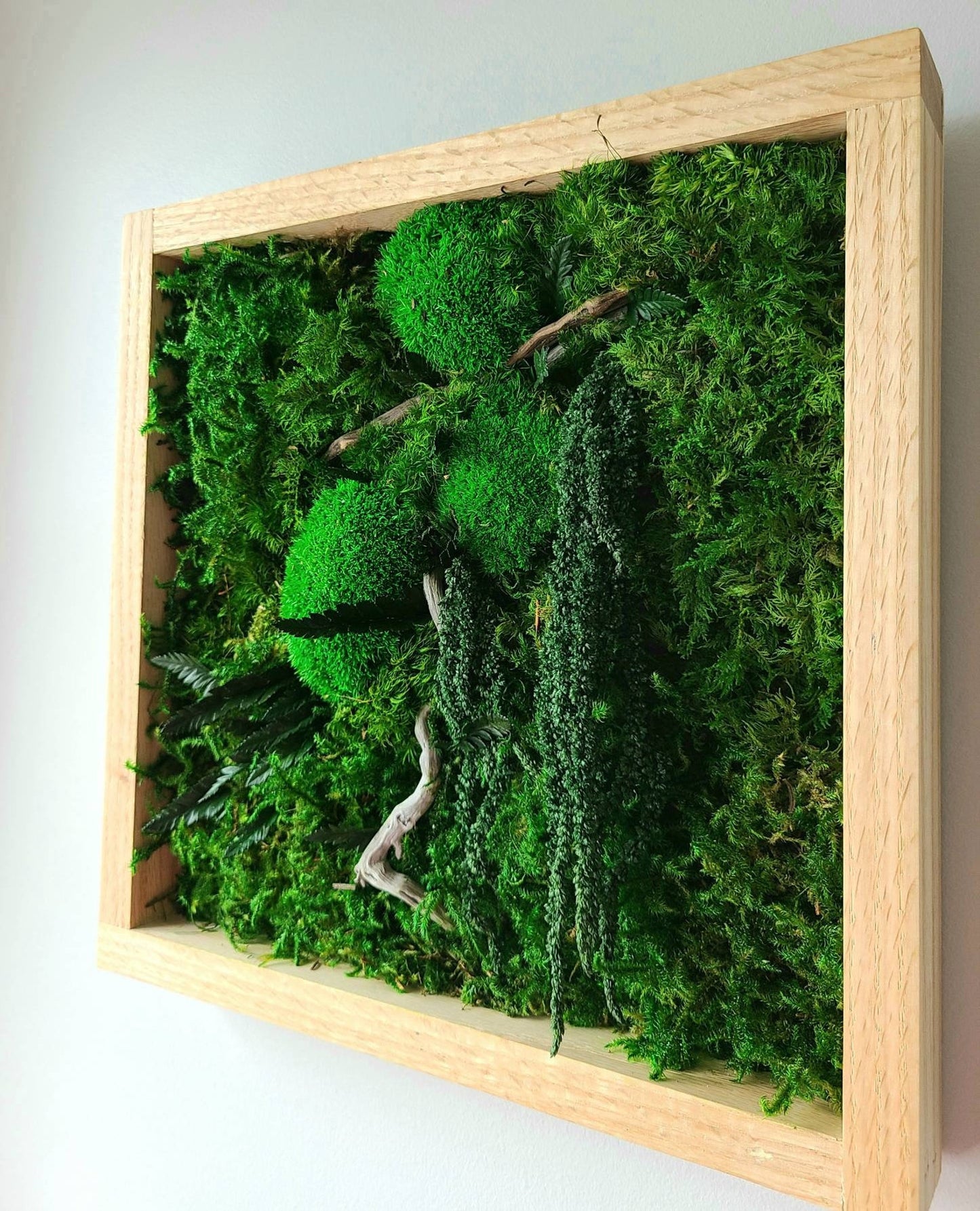 Green gem moss