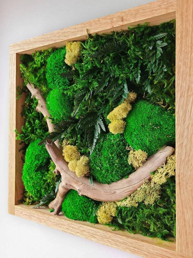 Autumn walks Moss Oak Regular - JUSTPLANTS