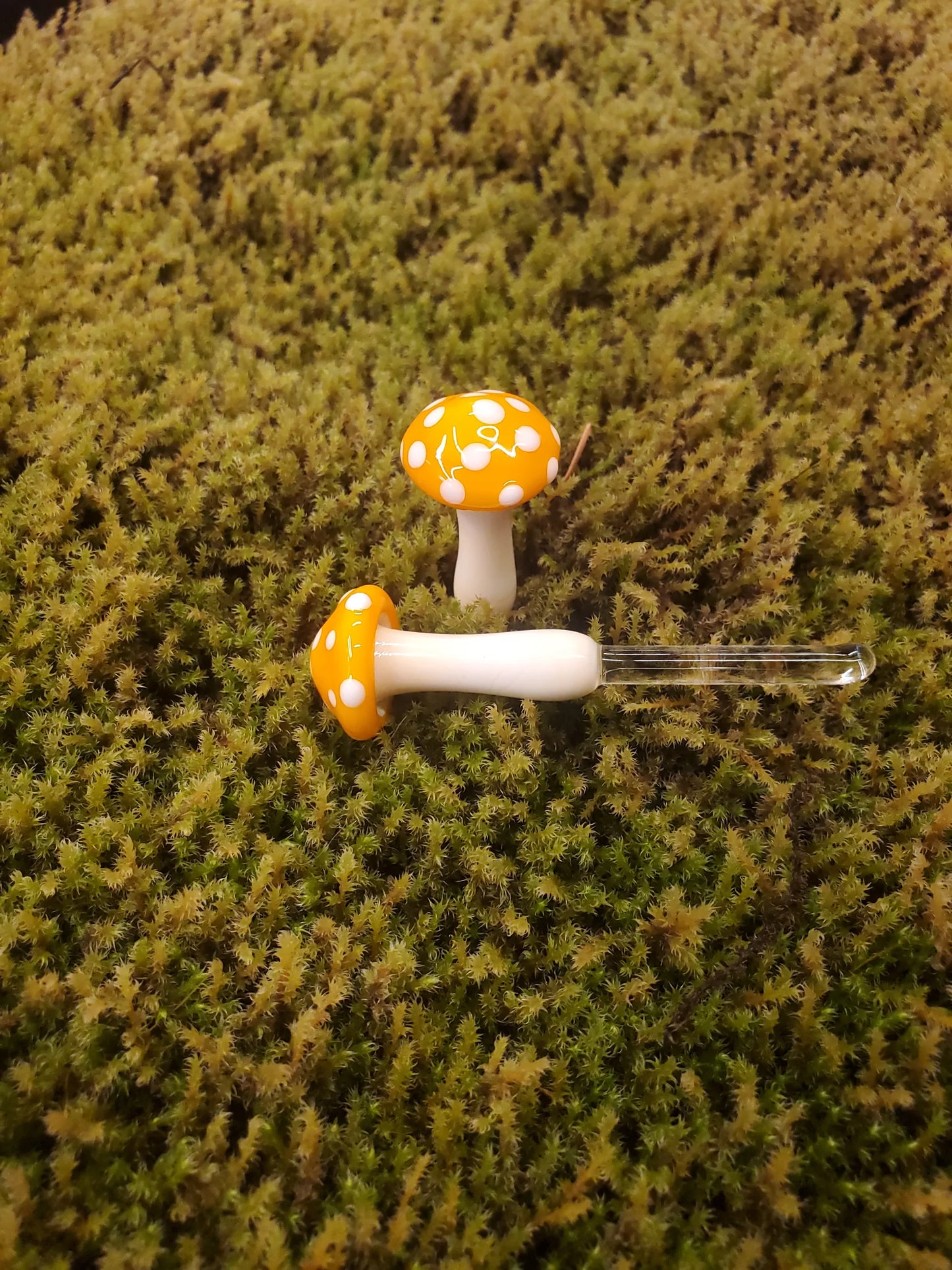 Mushroom Glass Sculptures