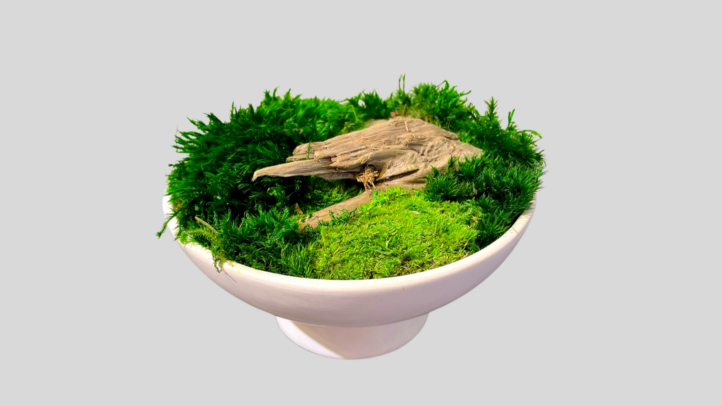 Moss Centerpiece
