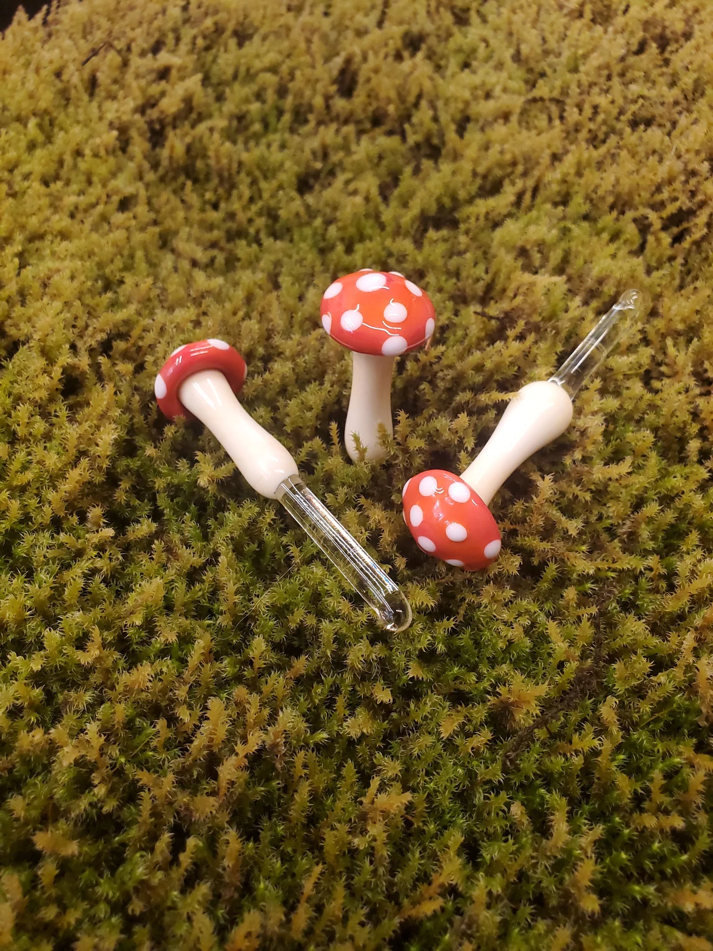 Mushroom Glass Sculptures