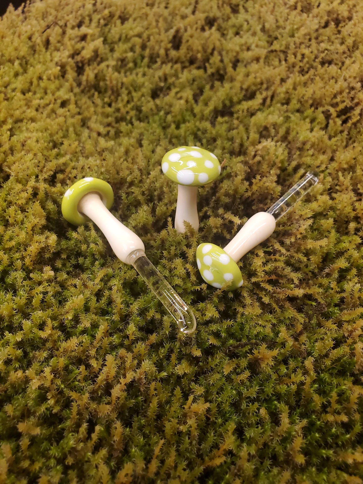 Mushroom Glass Sculptures