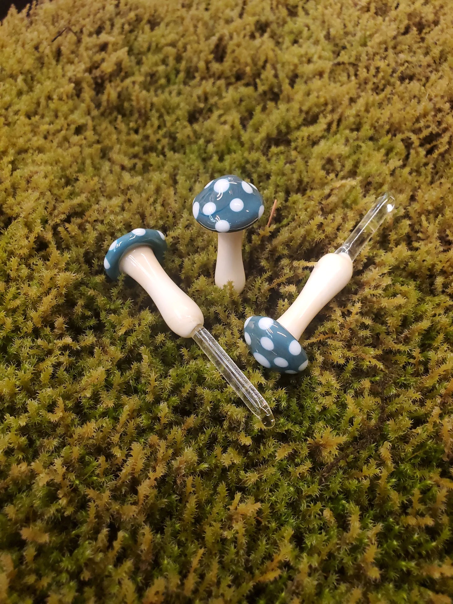 Mushroom Glass Sculptures
