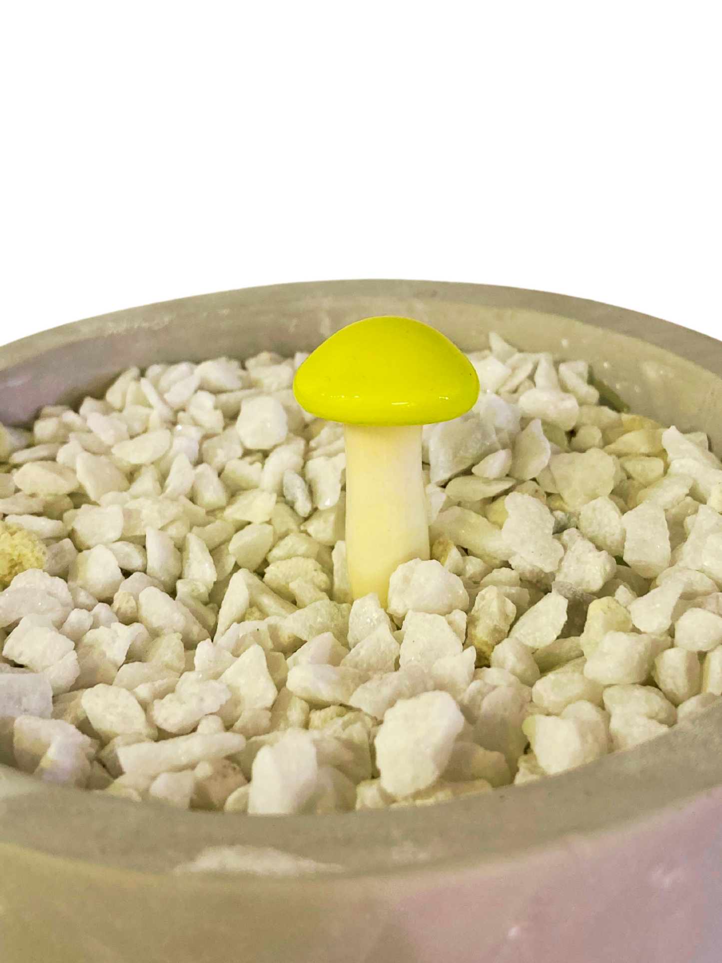 Mushroom Glass Sculptures