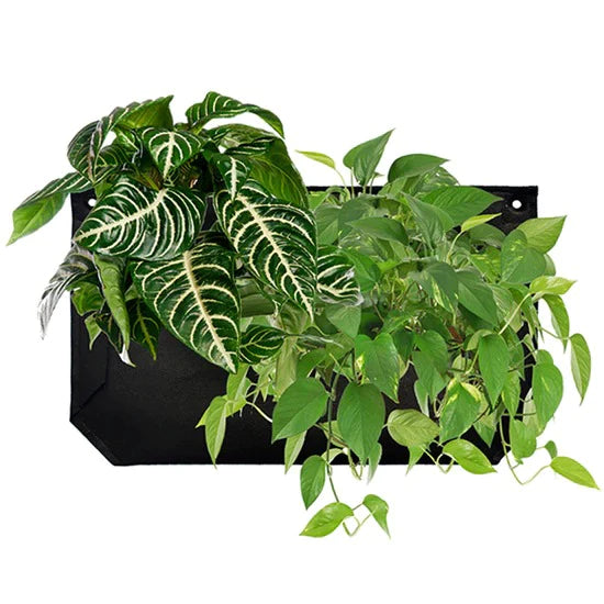 Wallygrow Wall Felt Planter
