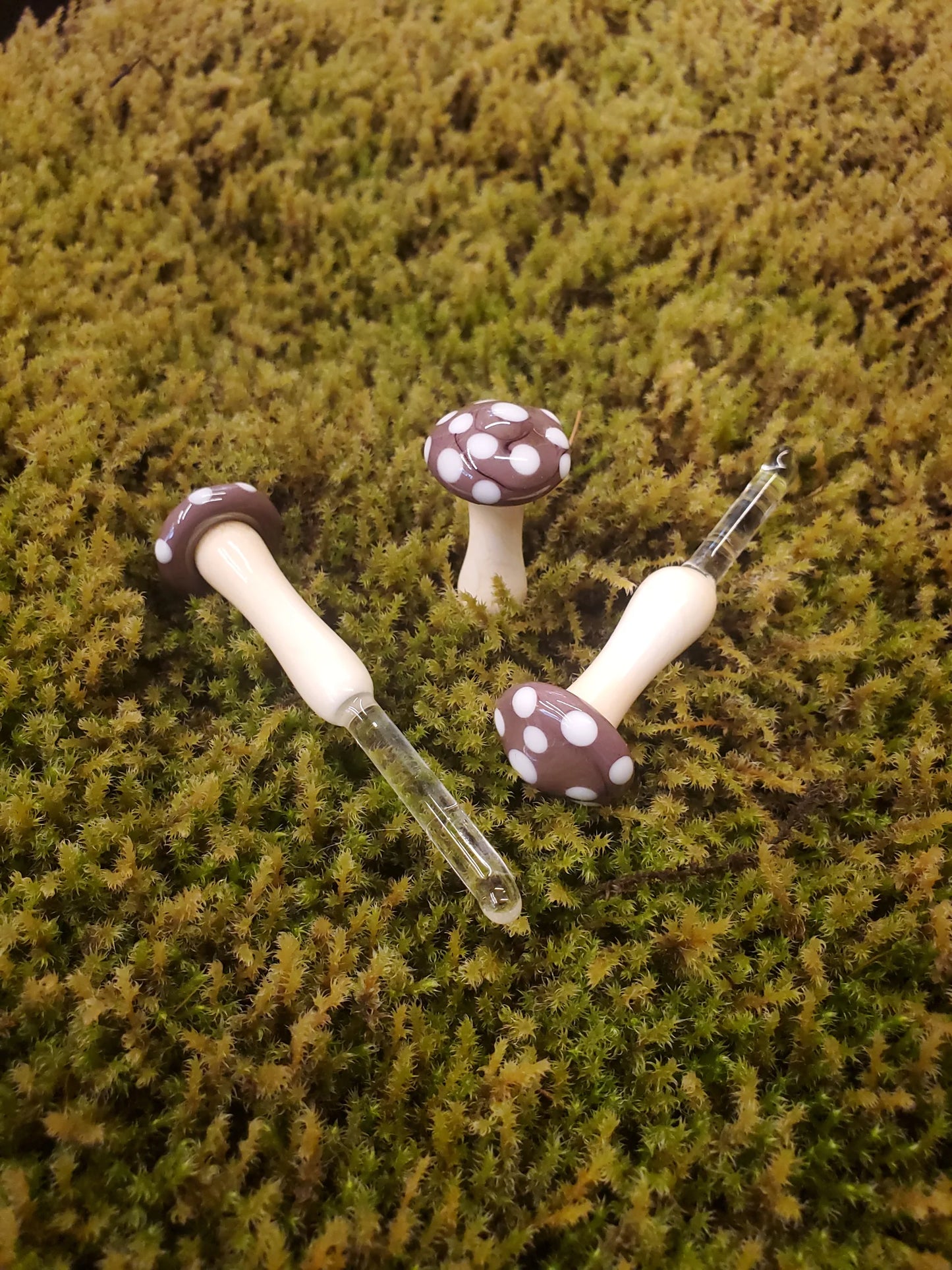 Mushroom Glass Sculptures
