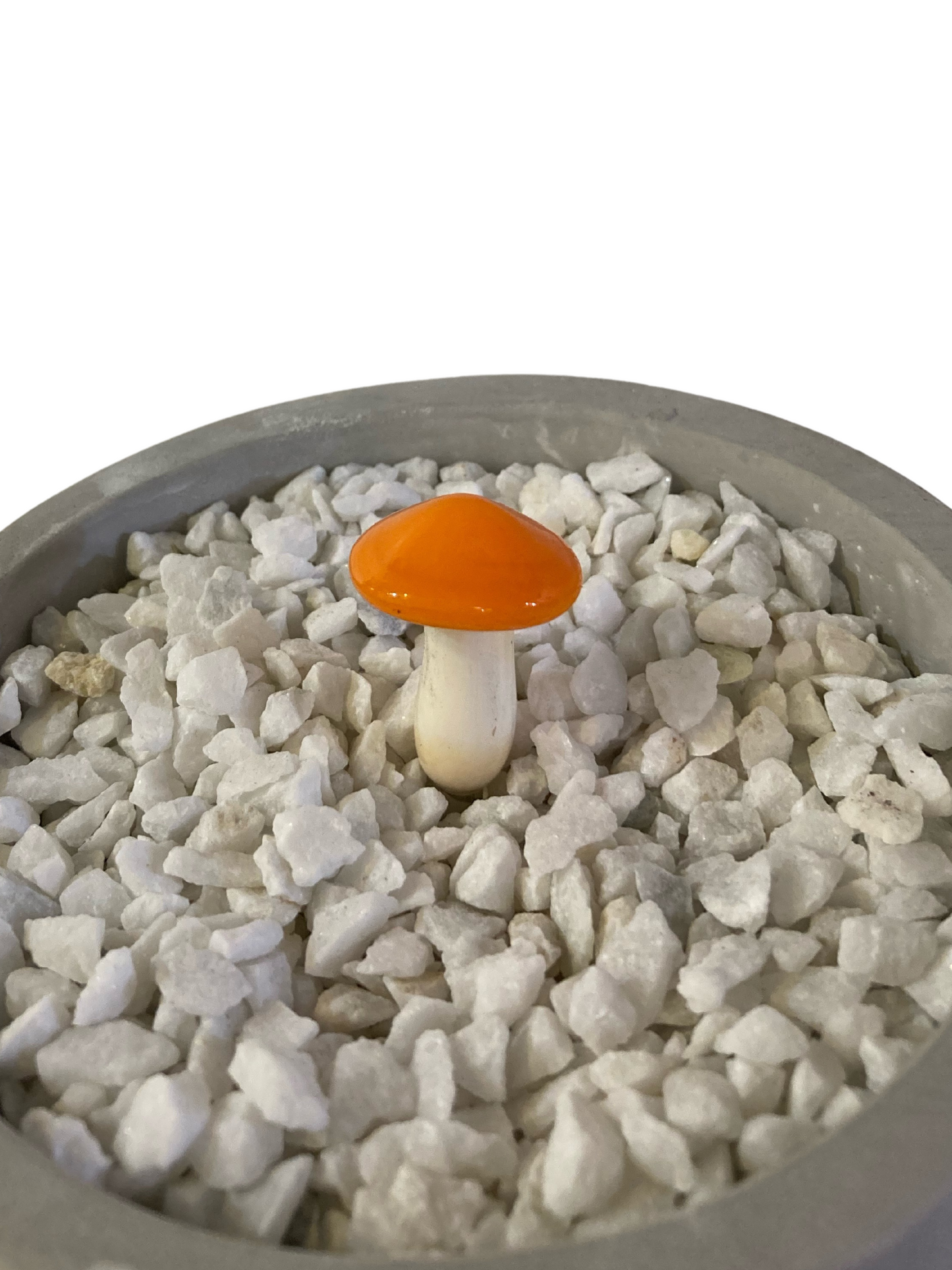 Mushroom Glass Sculptures