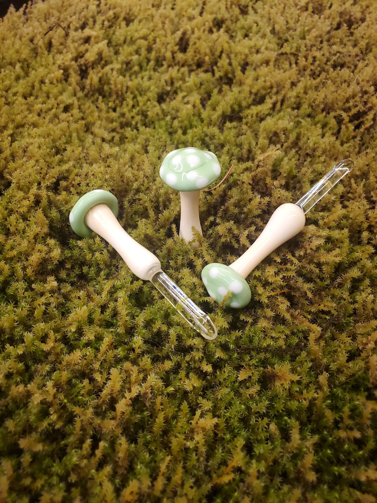 Mushroom Glass Sculptures