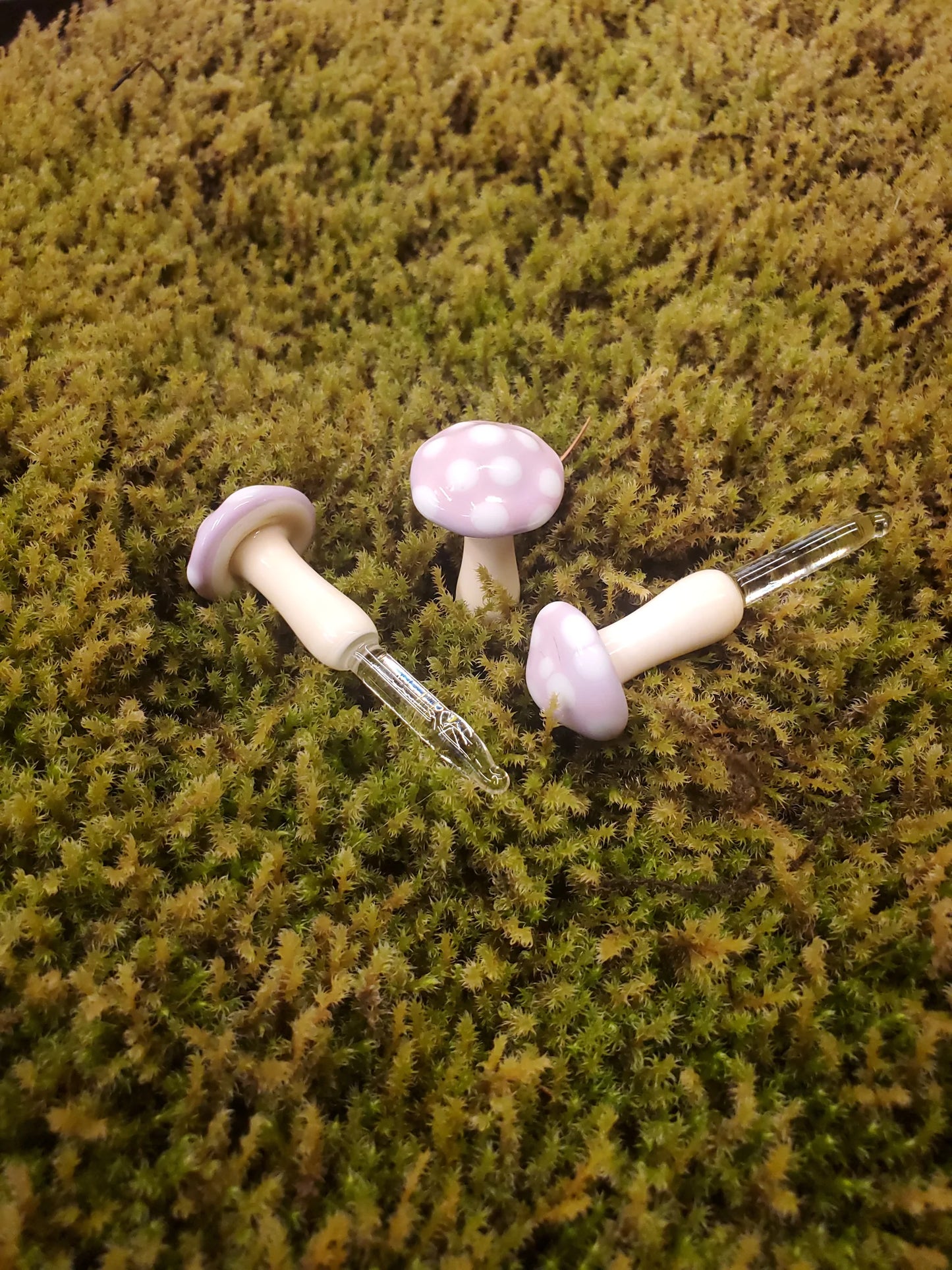 Mushroom Glass Sculptures