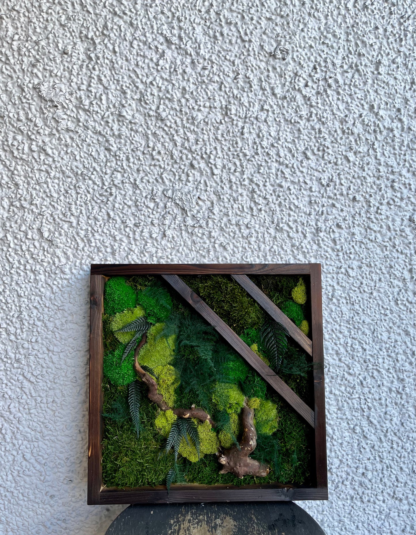 Forest Floor