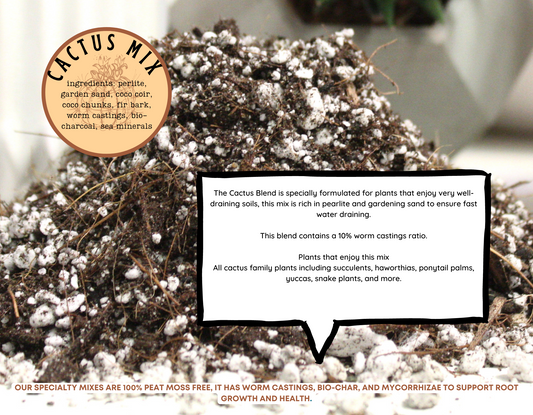 Potting soil -Cactus mix -