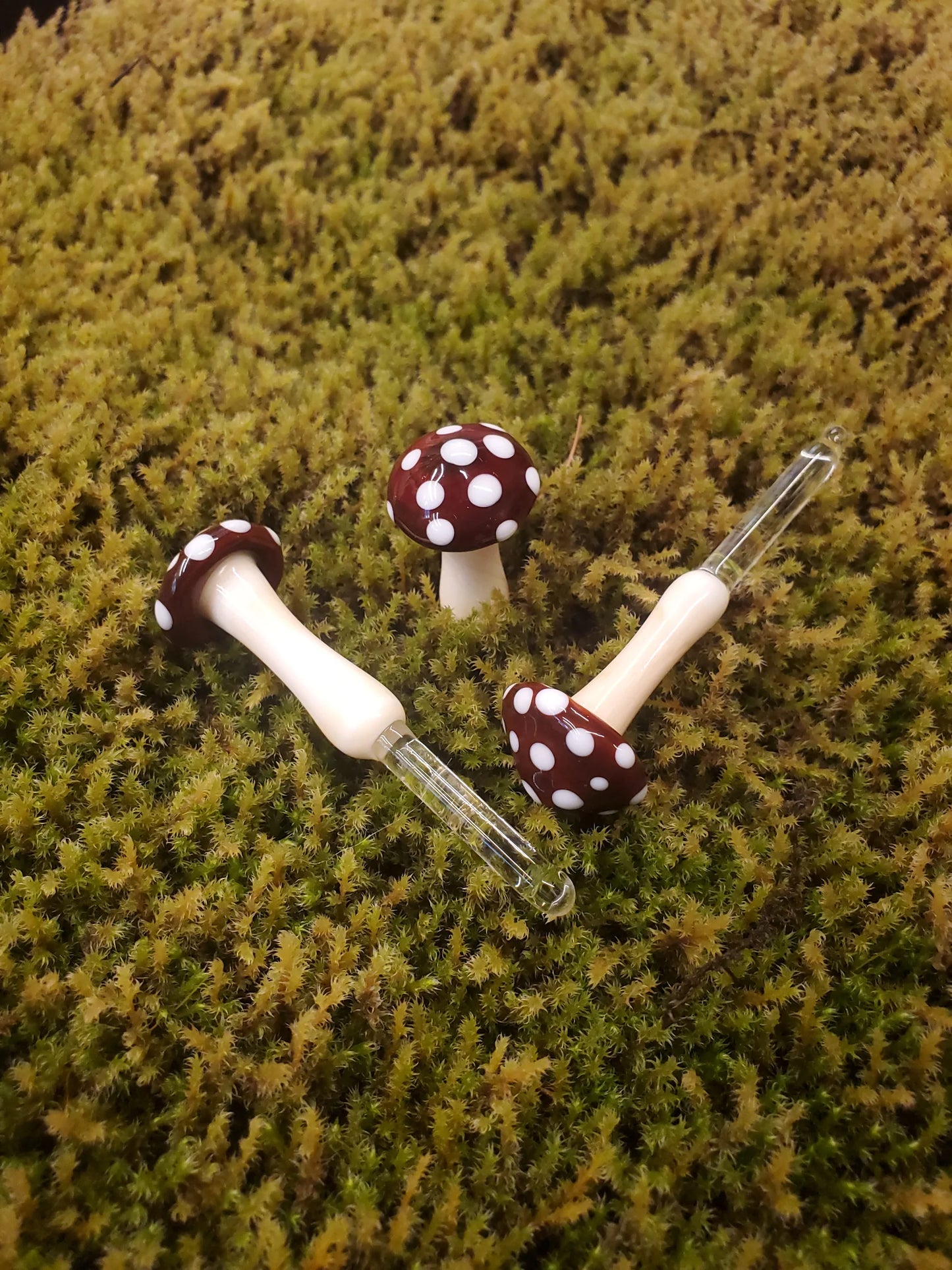 Mushroom Glass Sculptures