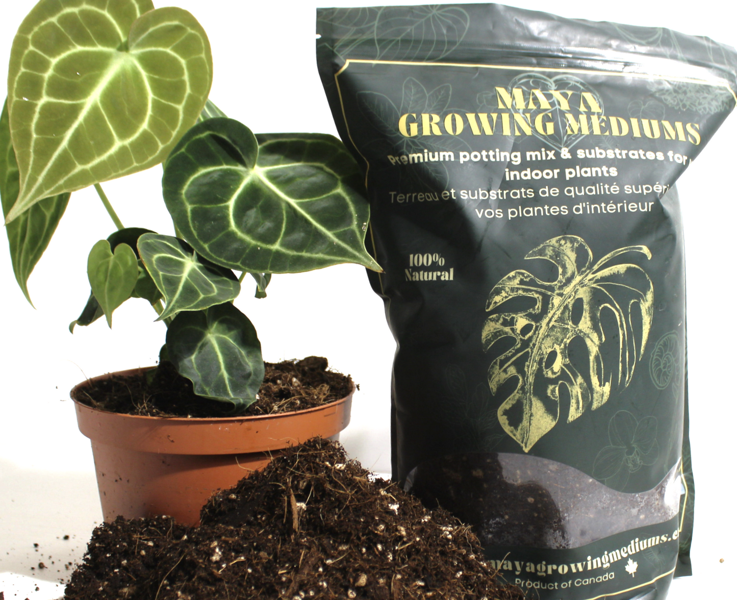 Potting soil -Aroid mix-