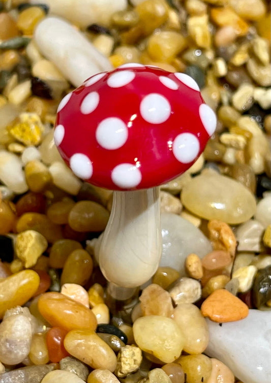 Mushroom Glass Sculptures
