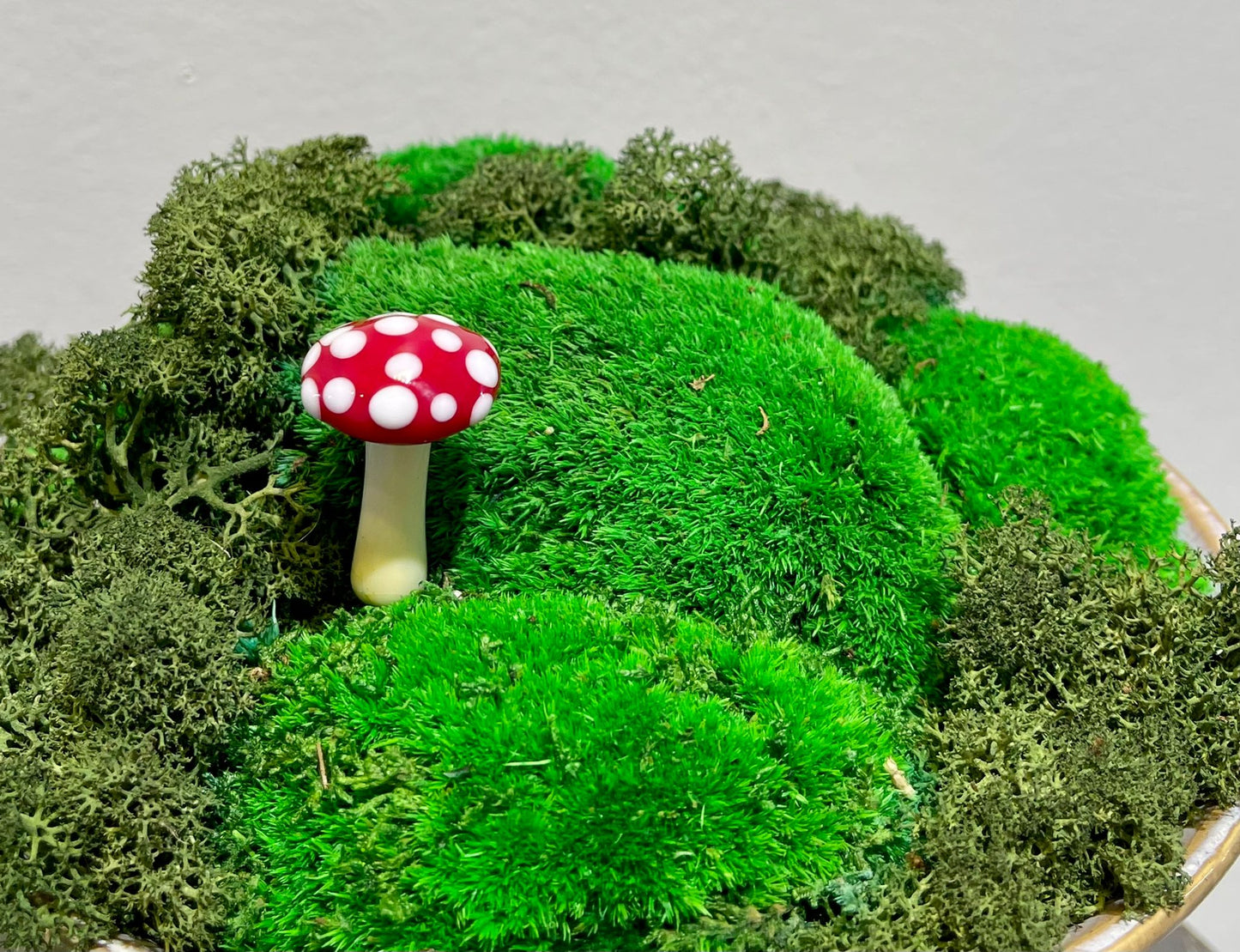 Mushroom Glass Sculptures