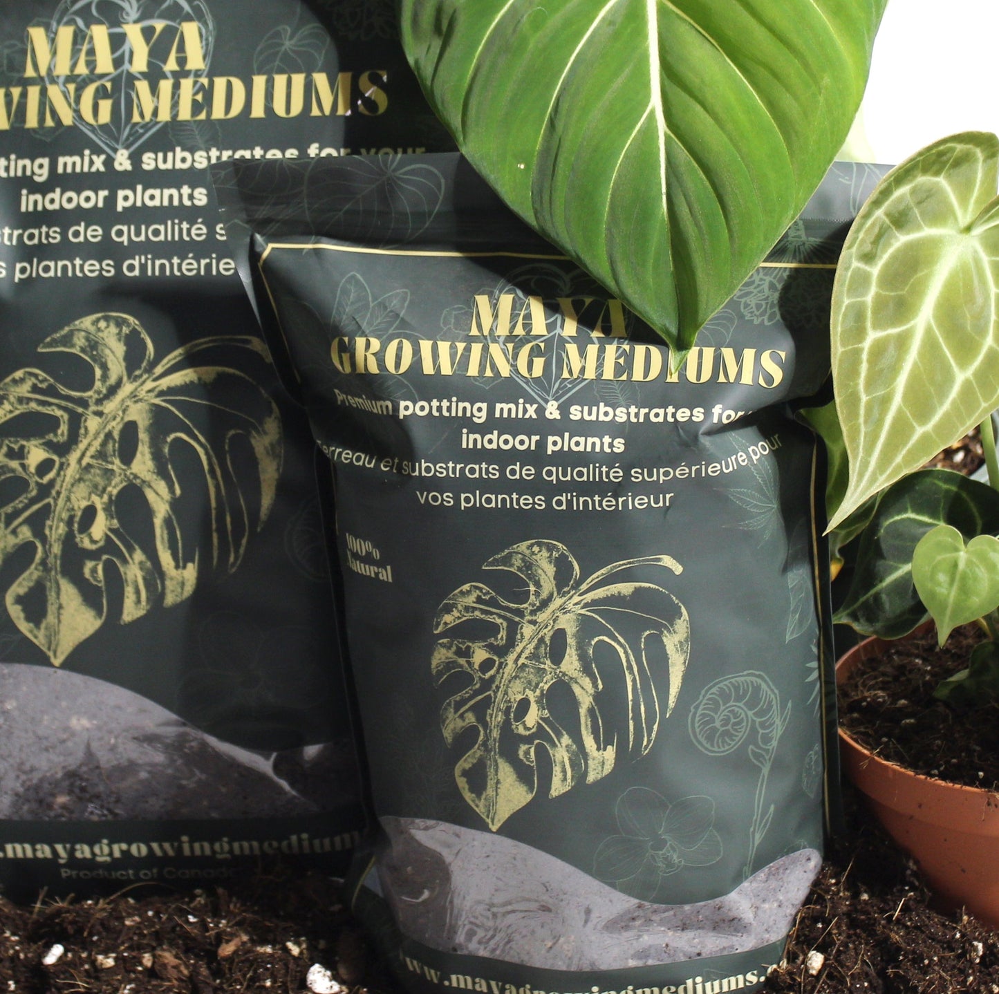 Potting soil -Aroid mix-