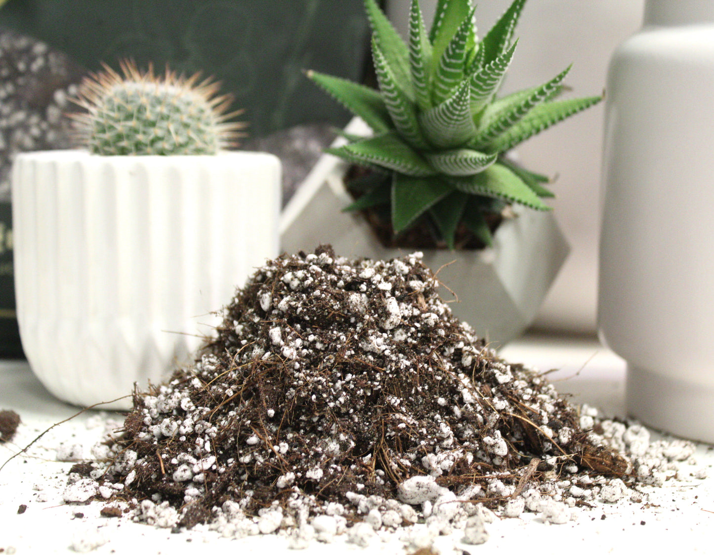 Potting soil -Cactus mix -