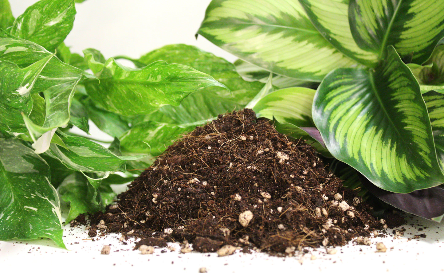 Potting soil -General mix-