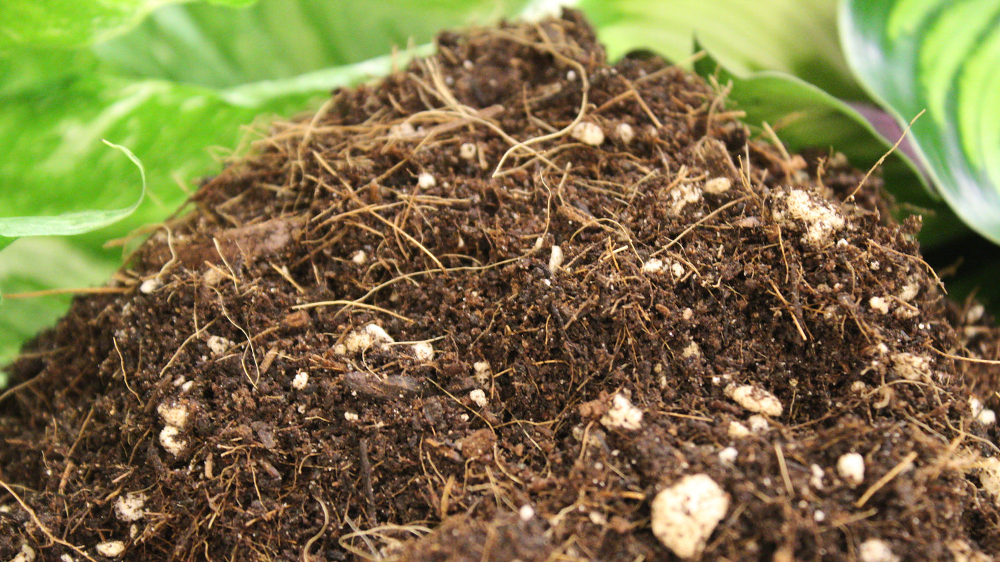 Potting soil -General mix-