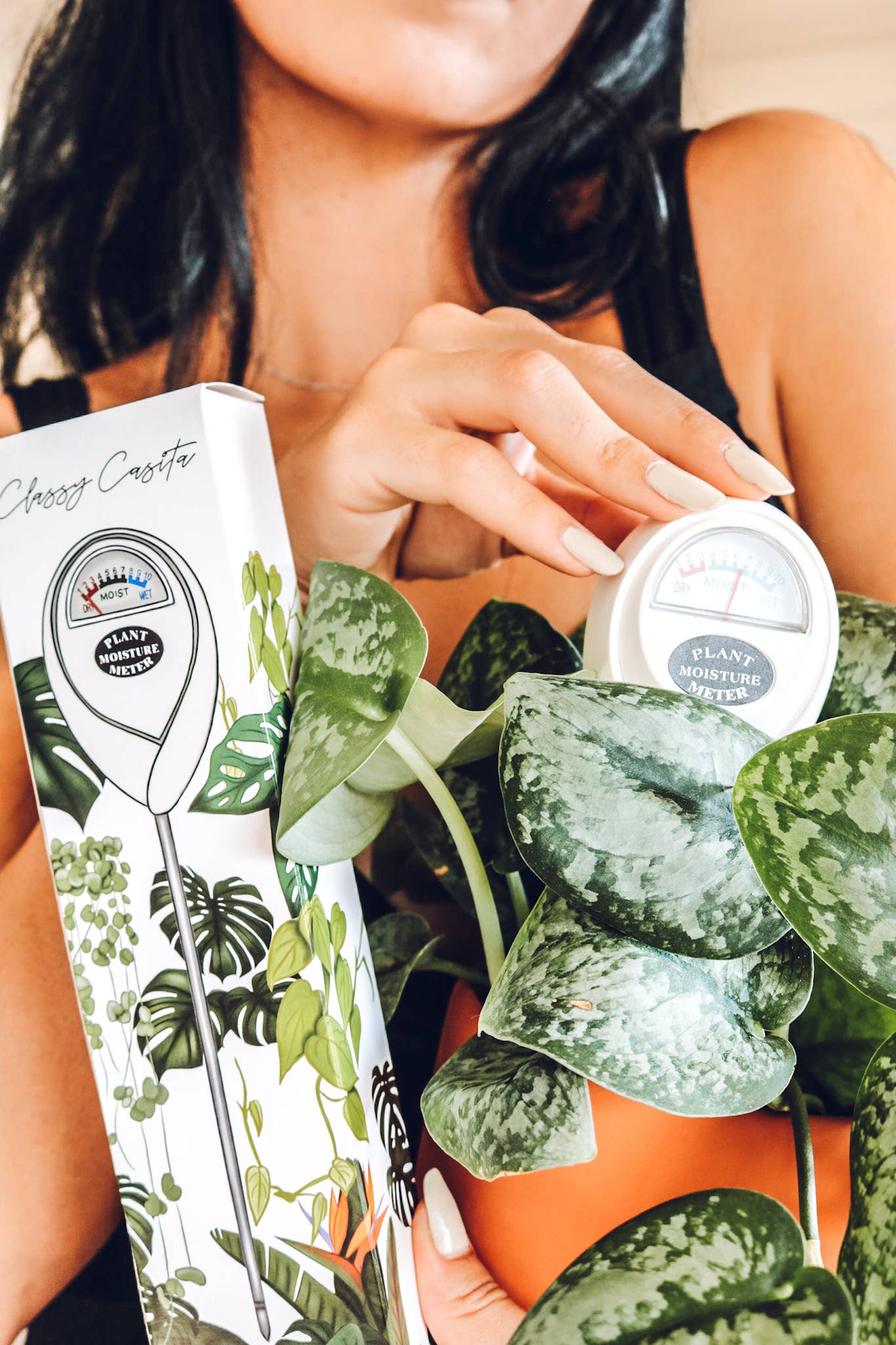 Moisture Meter by Classy Casita