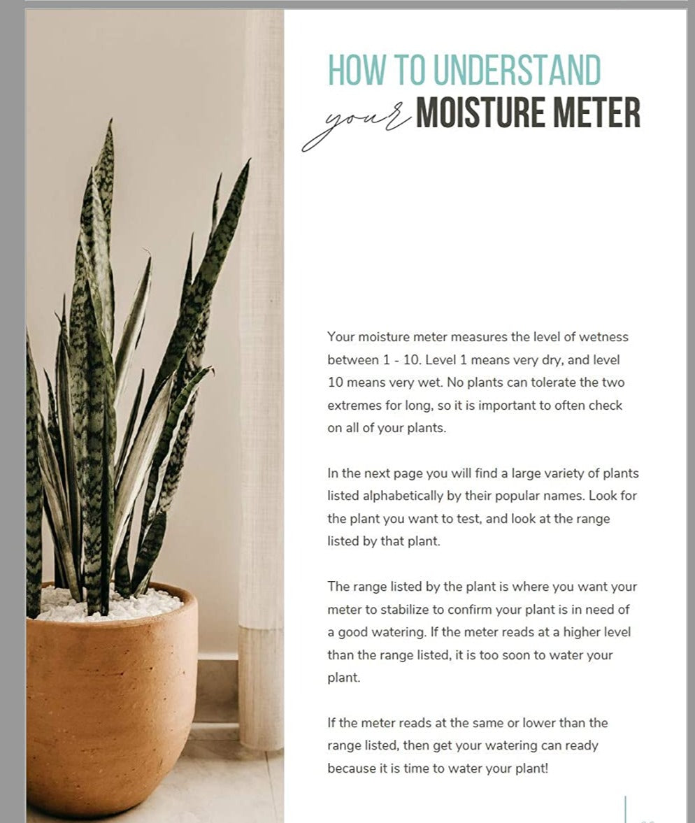 Moisture Meter by Classy Casita