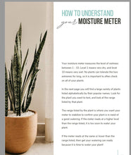 Load image into Gallery viewer, Moisture Meter by Classy Casita
