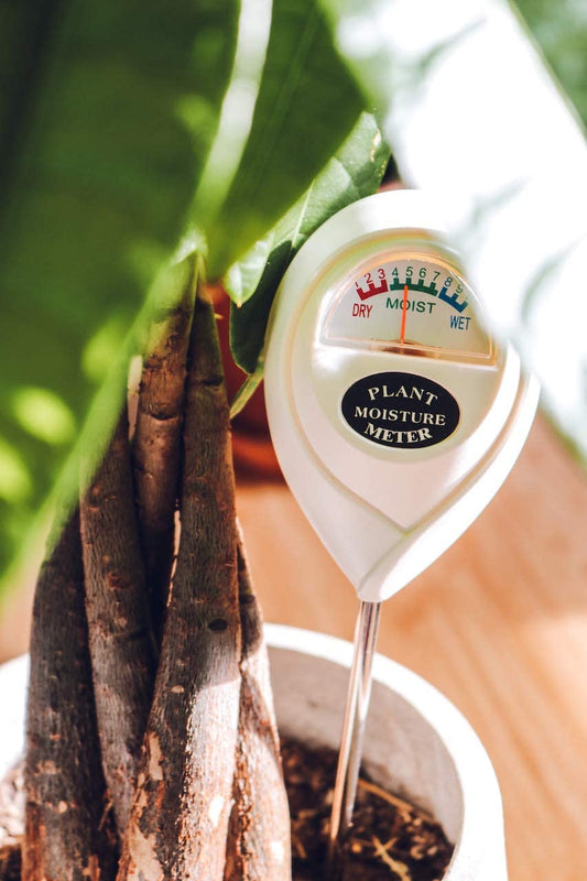 Moisture Meter by Classy Casita