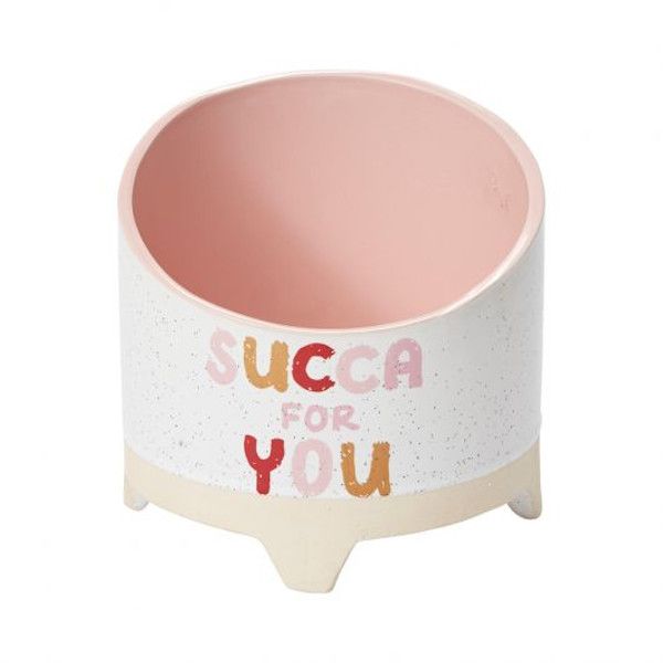 Succa for You Planter