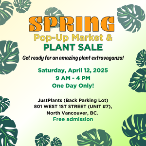 SPRING SALE