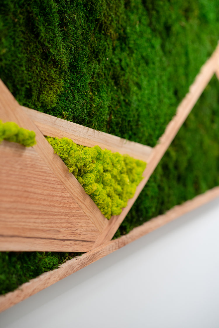 Preserved Moss Art - JUSTPLANTS