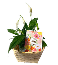 Load image into Gallery viewer, Gift Basket -Small-
