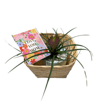 Load image into Gallery viewer, Gift Basket -Small-
