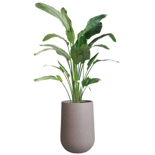 Fer Fiberglass Planter