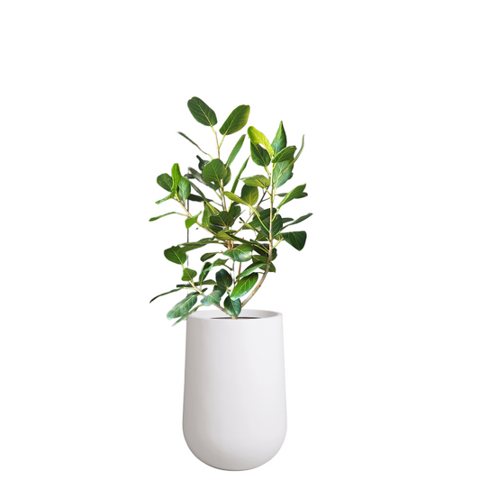 Fer Fiberglass Planter