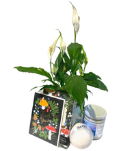 Load image into Gallery viewer, Gift Basket -Large-
