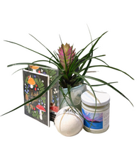 Load image into Gallery viewer, Gift Basket -Large-
