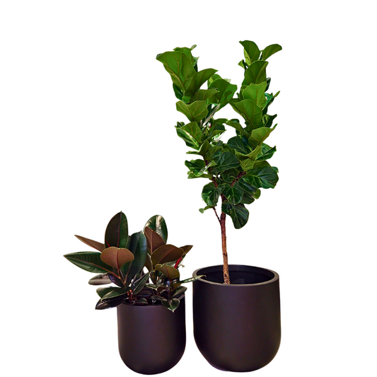 Rotunda Fiberglass Planter