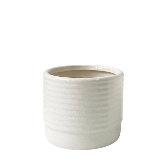 Ellie Planter