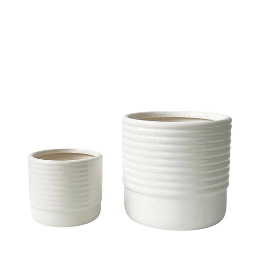 Ellie Planter