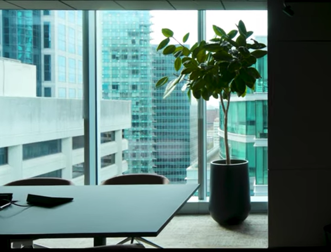 Load video: JUSTPLANTS Installation