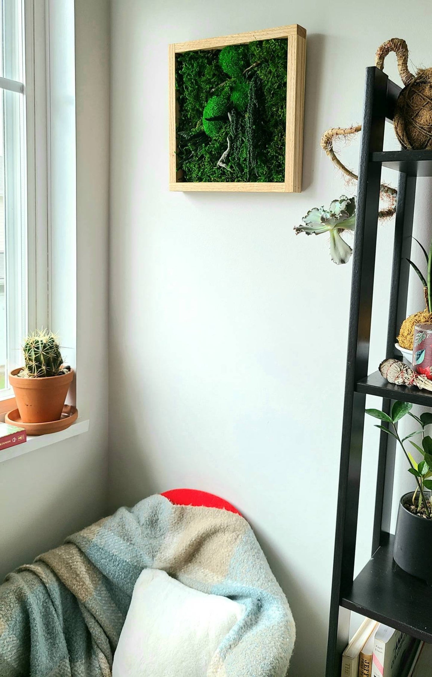 Green gem moss