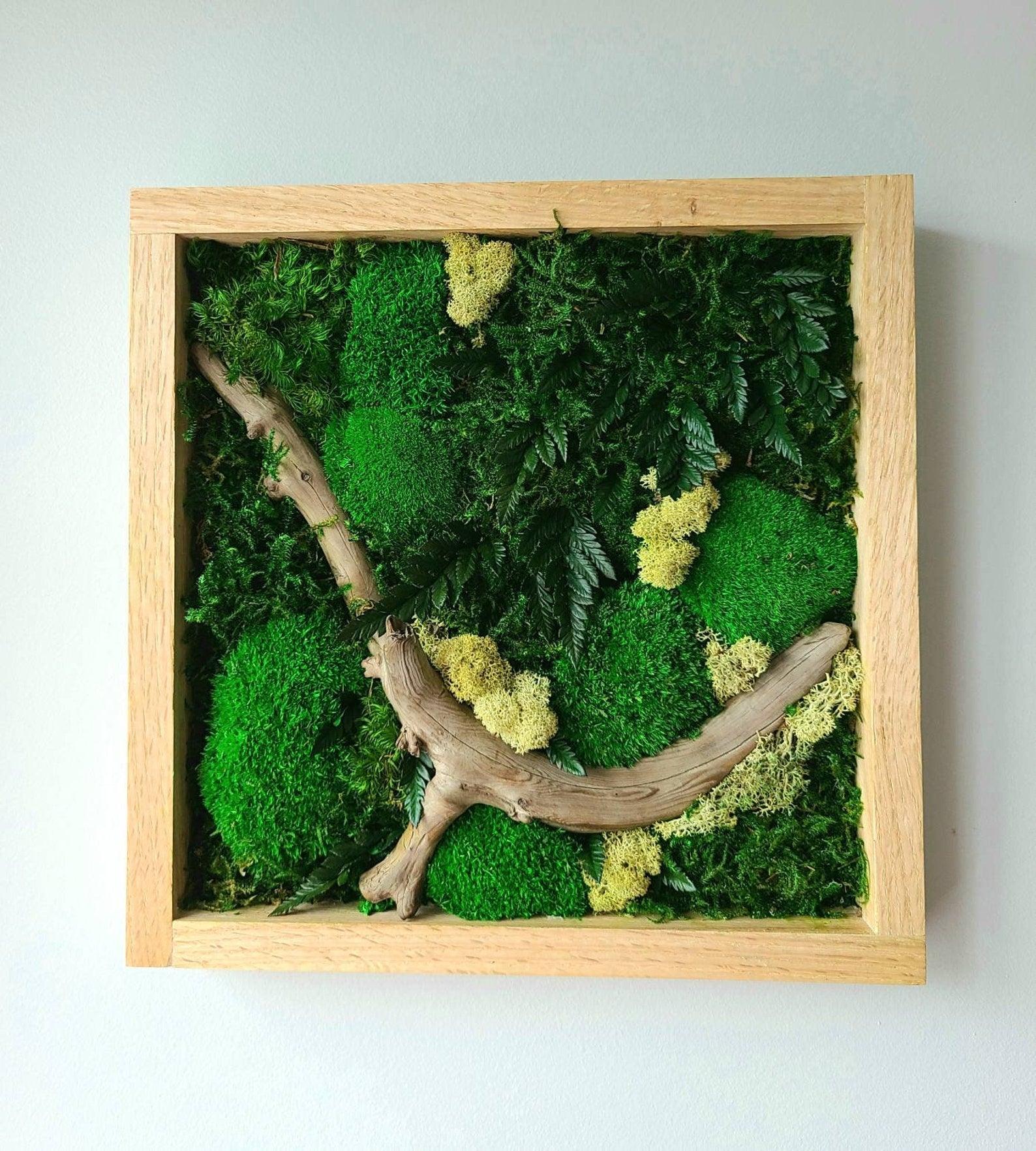 Autumn walks Moss Oak Regular - JUSTPLANTS