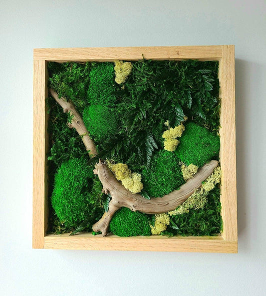 Autumn walks Moss Oak Regular - JUSTPLANTS