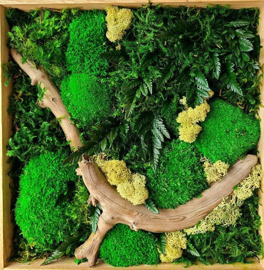 Autumn walks Moss Oak Regular - JUSTPLANTS