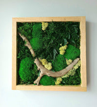 Load image into Gallery viewer, Autumn walks Moss Oak Regular - JUSTPLANTS
