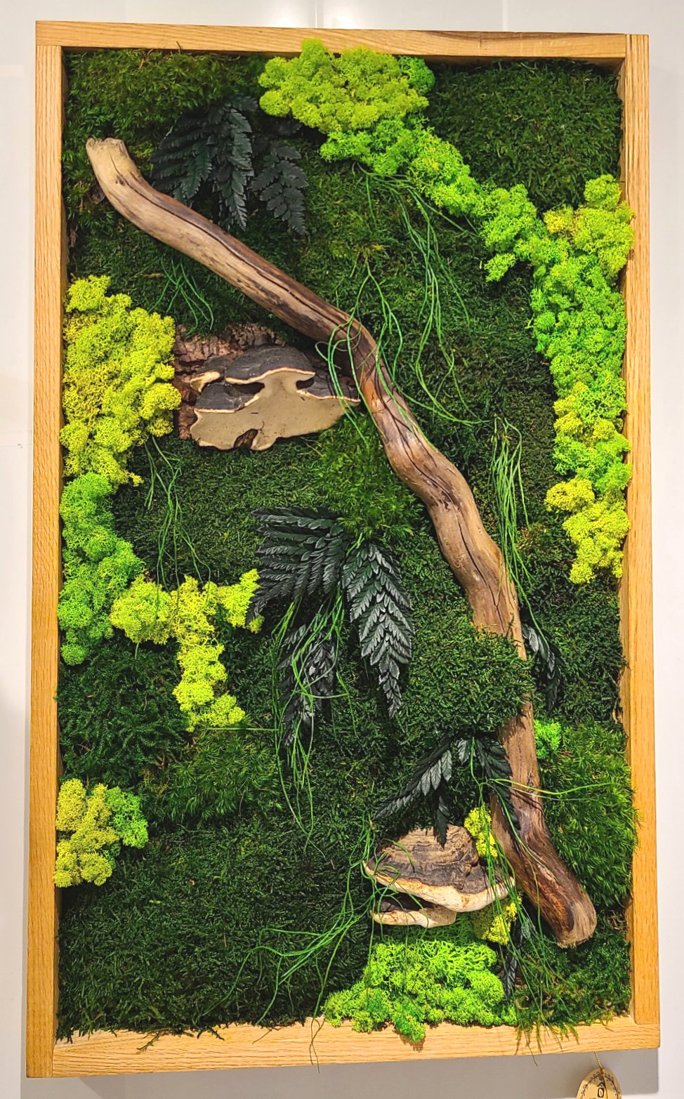 Mushroom Moss