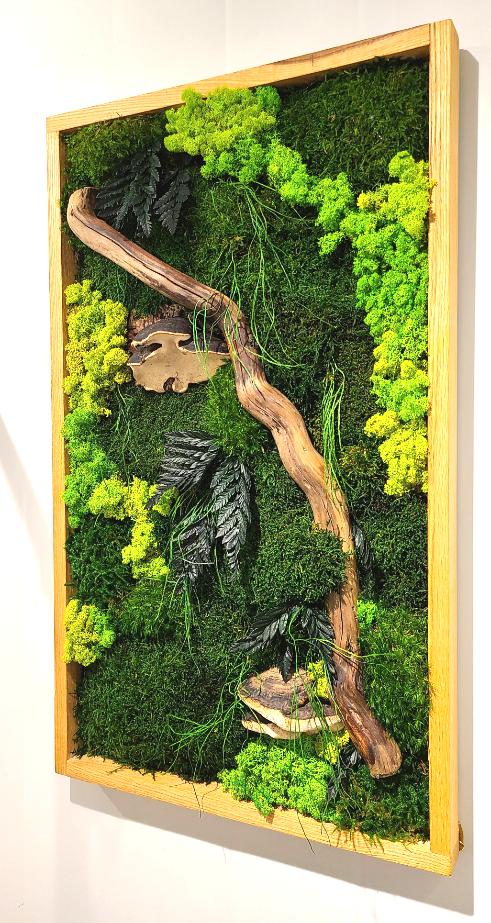 Mushroom Moss